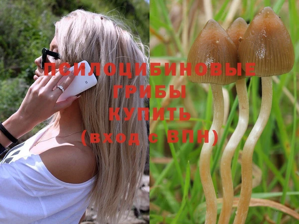 прущая мука Кукмор