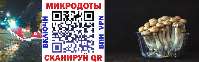 Псилоцибиновые грибы MAGIC MUSHROOMS купить закладку Оханск